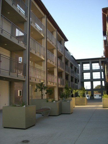 Ivy Terrace Family Housing