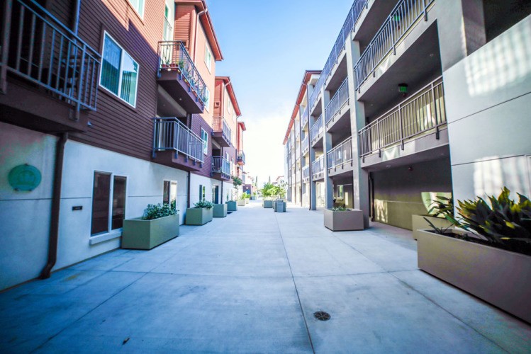 Ivy Terrace Family Housing